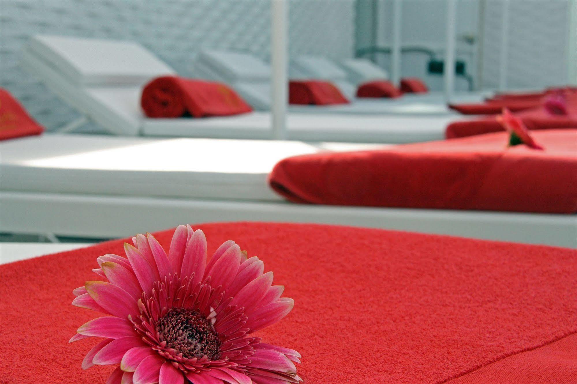 فندق آند سبا جران ناجاري بوتيك فيجو المظهر الخارجي الصورة Spa at the Hotel